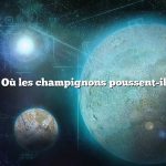 Question : Où les champignons poussent-ils le mieux